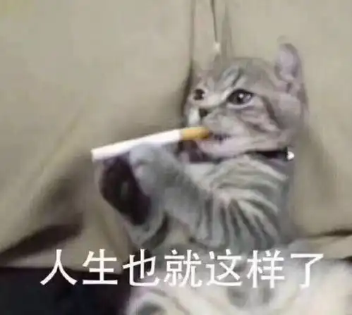  只要10块钱,呼吸都是仙气