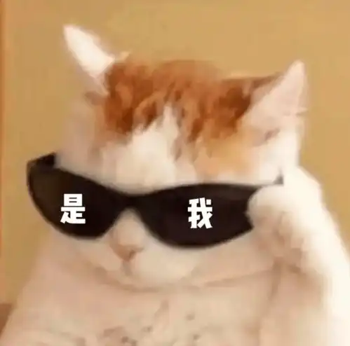  排面今天太空发来祝福