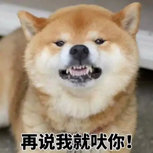  柴犬一集表情包