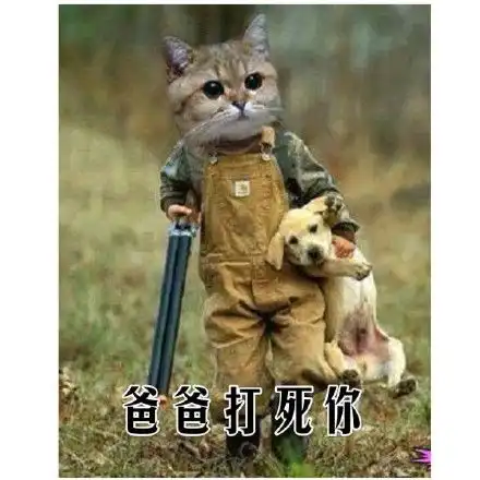  哦行吧,感情淡了近期斗图表情包精选2019530斗图表情