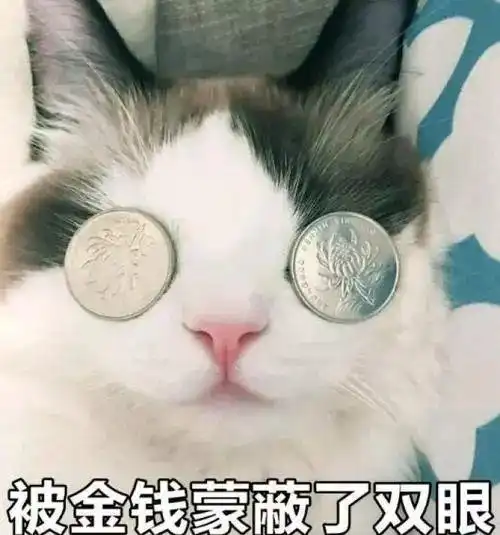  猫咪吸猫薄荷会上瘾猫薄荷对猫有害么