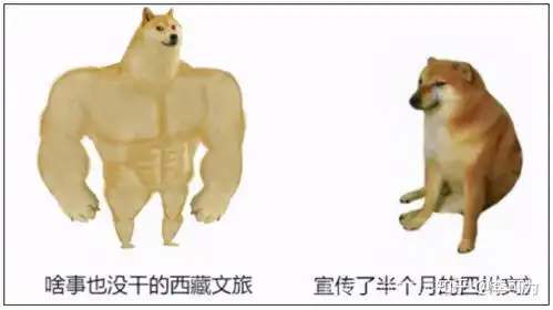 柴犬挨打表情包che