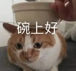  曾经爆火的她们15年后再聚首,可能是唯一不吹艳压的同框吧