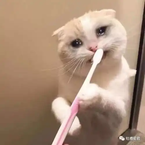  他只得到我的身体...渣女劈腿后回复道,聊天截图你们感受下...