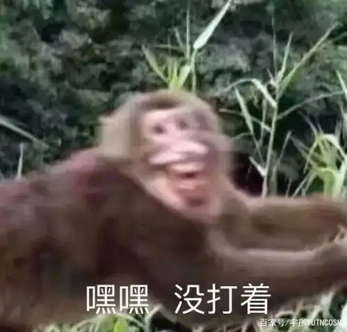够硬表情包是什么意思美
