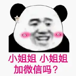  暑去凉来,和兰关一起充实一夏