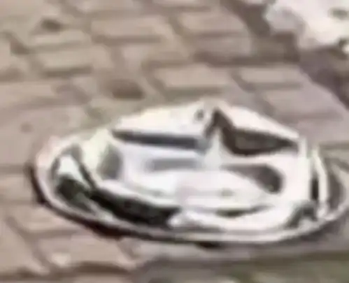  赔碗10万网友帮这只狗狗维权