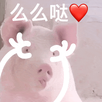  当动物们拥有双手又沙雕又可爱的gif表情包