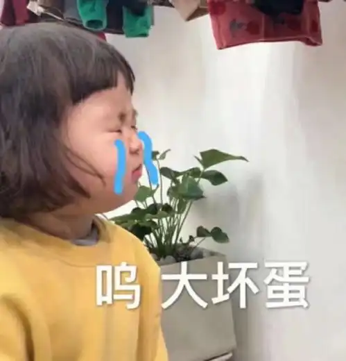 对不起表情包原版罗熙
