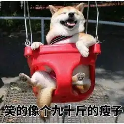  柴犬专业生产各种表情包