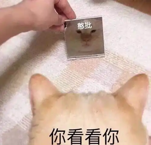  还在撕番好了再见楼留给你们继续缠绵