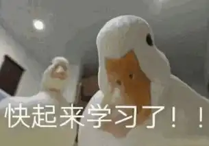 对不起表情包原版鸭鸭