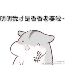  老公版仓鼠表情包