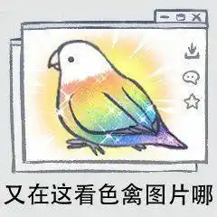  鸟图表情包系列三