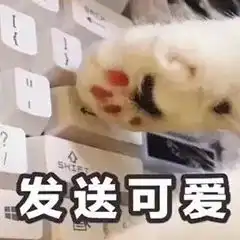 搞笑段子我们家猫会后空翻,你要不要看下
