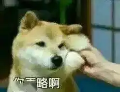 打狗狗表情包略略略