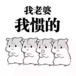  哄女友表情包