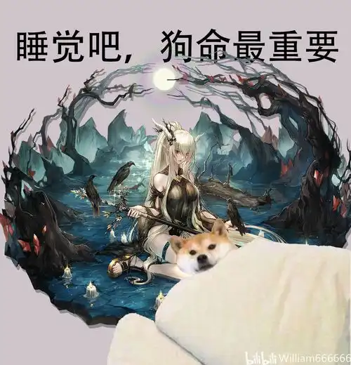  睡觉吧,狗命最重要7
