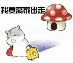  14岁少女离家出走,浦江公安连夜排查找回