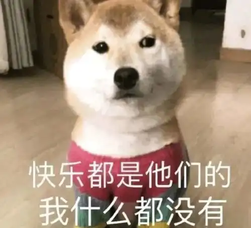  购买的日本柴犬怎么越来越丑先别急着扔尴尬期过去太萌了