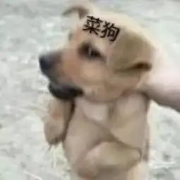  狗狗表情包我不是真的人,你们是真的狗