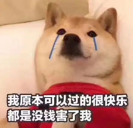 我又没钱表情包压惊