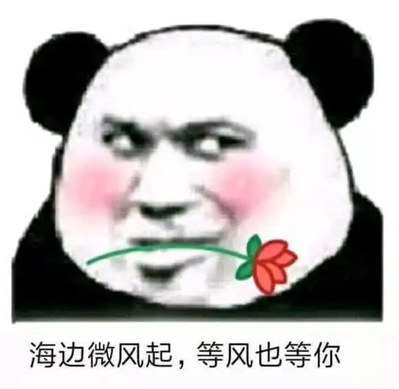  超级可爱的表情包