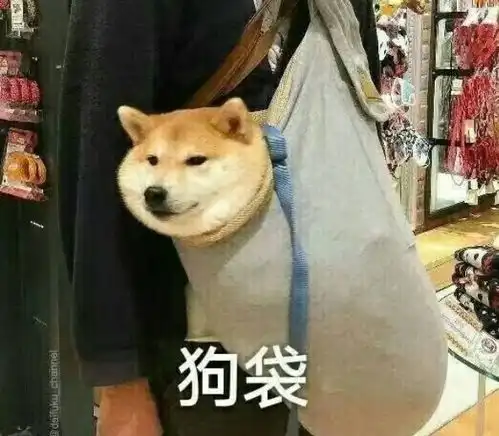 nba表情包带字图片搞笑
