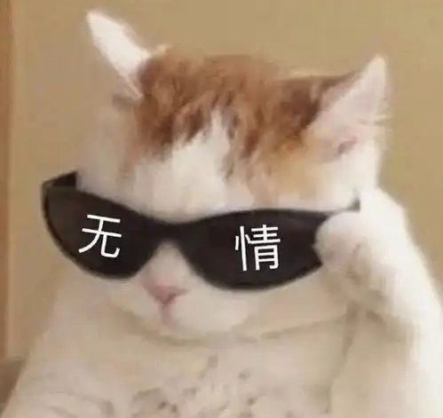  这部宝藏剧有颜有笑点