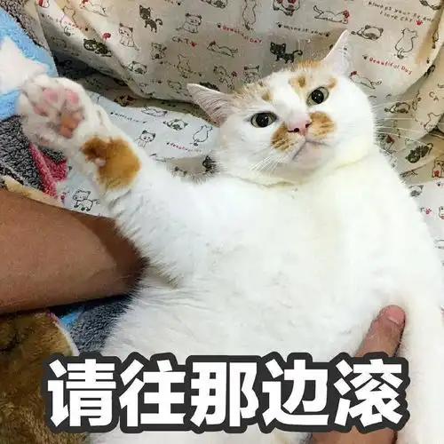  有哪些可以表现出姐姐对弟弟的慈爱的表情包