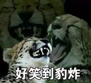  交通肇事找朋友顶包,处罚太重顶包者当场反悔,锅太重,友谊的小船说翻就翻