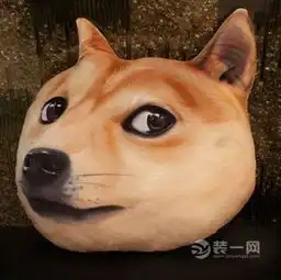  窝在沙发里的好伙伴儿盘点那些造型奇葩的抱枕君