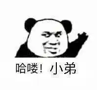  熊猫头表情包i你已经凉了兄弟