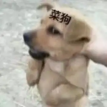  沙雕狗狗表情包来袭,赶紧收起来
