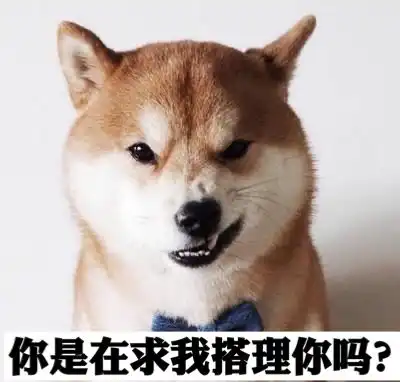  高冷的表情包