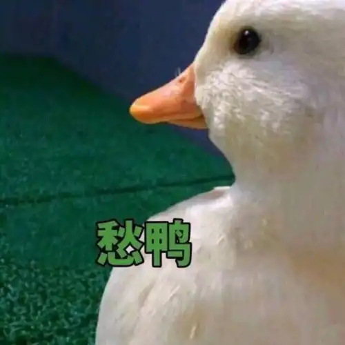  每日表情逗比聊天