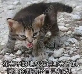 表情包软件下载凶狠