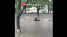 姿态表情包动态图唐小妹