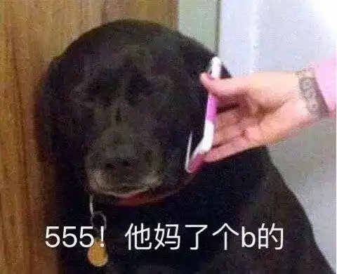 斗图表情包精选