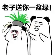  玩股票的小阿龙