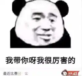  表情包我收集的熊猫图,喜欢的话可以拿走哦