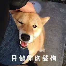 柴犬挨打表情包鬼才