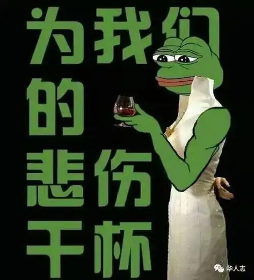  爱尔兰版猫和老鼠警察抓贼反被自己误伤,生活不易啊社会频道
