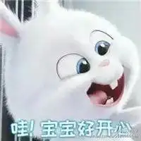 爱宠大机密小白萌头像微信头像图片大全