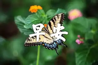  夏天早上好图片大全动态的图片早晨动画表情包