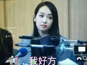  我要宋茜的表情包