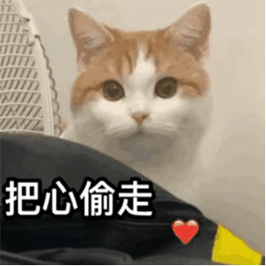  被喜欢的人爱着什么体验啊啊啊这也太美好了吧