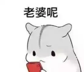  刘诗诗井柏然俊男靓女超养眼氛围感拉满太般配