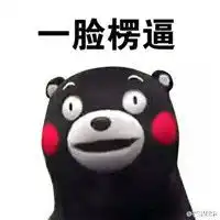  熊本熊带字搞笑表情包熊本熊懵逼表情包安粉丝手游网