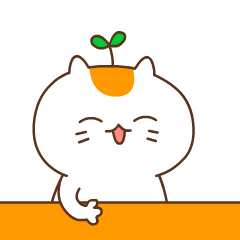  夏晓猫的可爱聊天图片